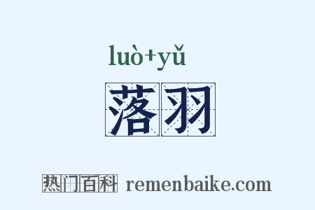 落羽是什么意思的图片